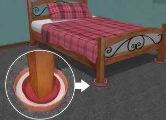 How to Get Rid of Bed Bug