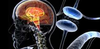 Early Warning Signs of Parkinson’s Disease