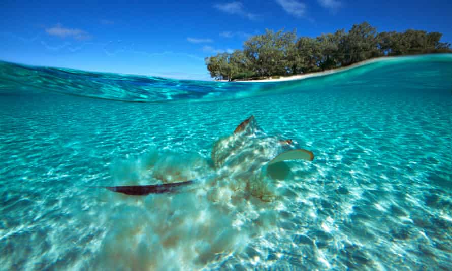Heron Island Great Barrier Reef in Australia.