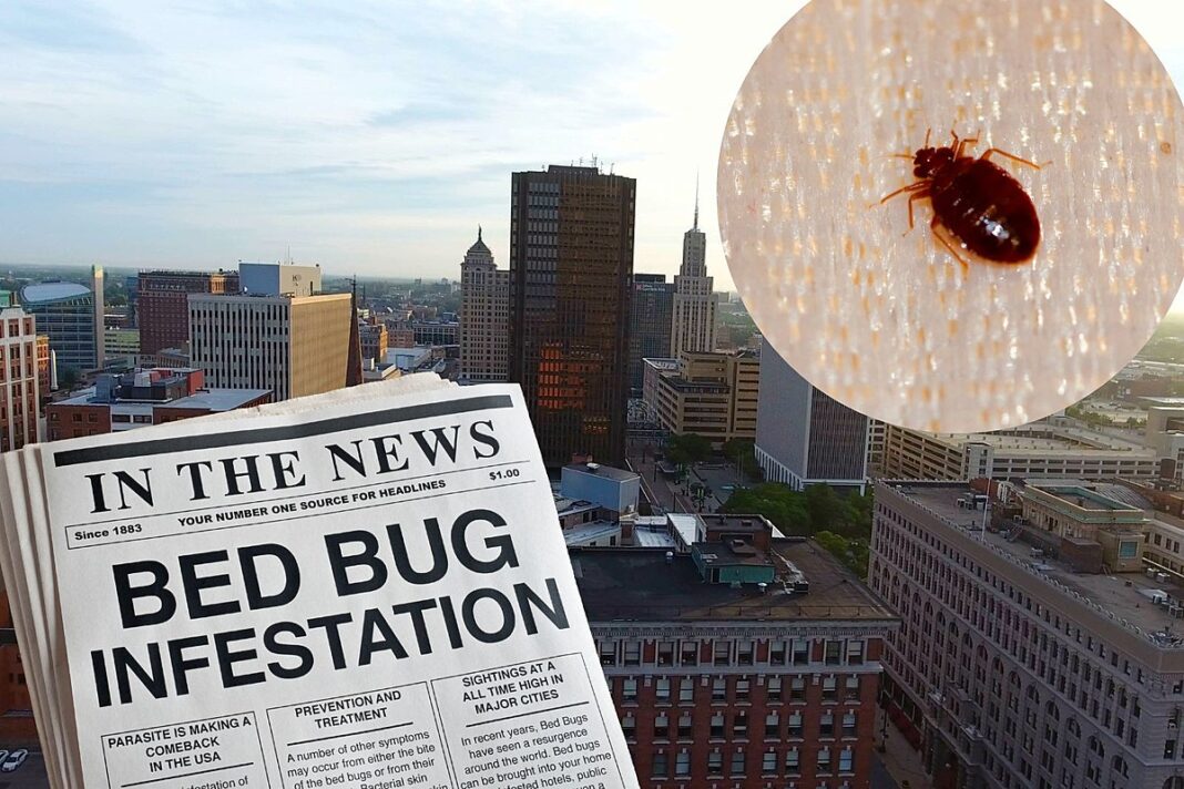 The Itchy Invasion: Bed Bug Bites on Buttocks - Huffington News