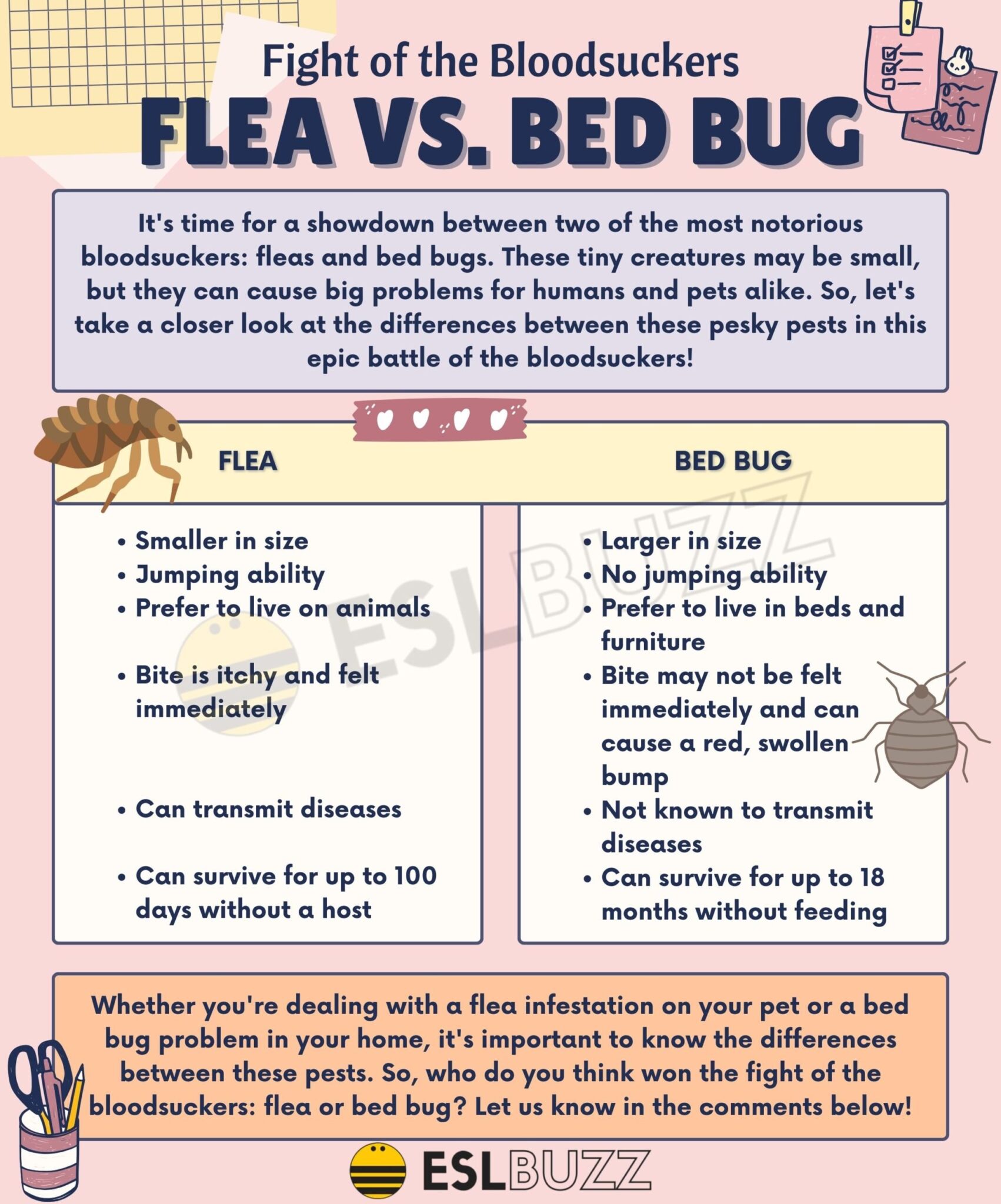 Bed Bugs Treatment Do It Yourself Bed Bug Control - Huffington News