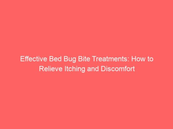 Effective Bed Bug Bite Treatments How To Relieve Itching And Discomfort Huffington News 9620