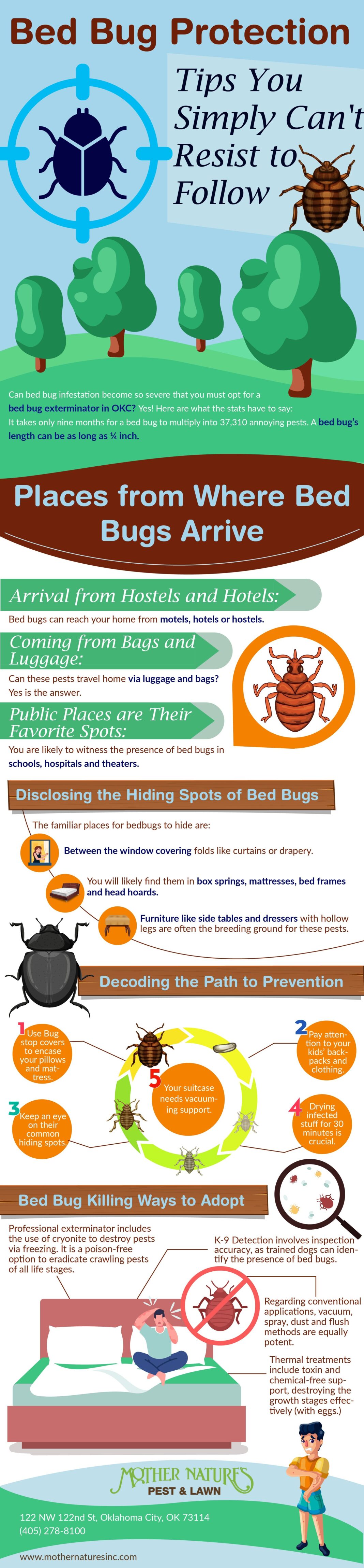 Effective Bed Bug Control Measures How To Rid Your Home Of These Pesky Pests Huffington News