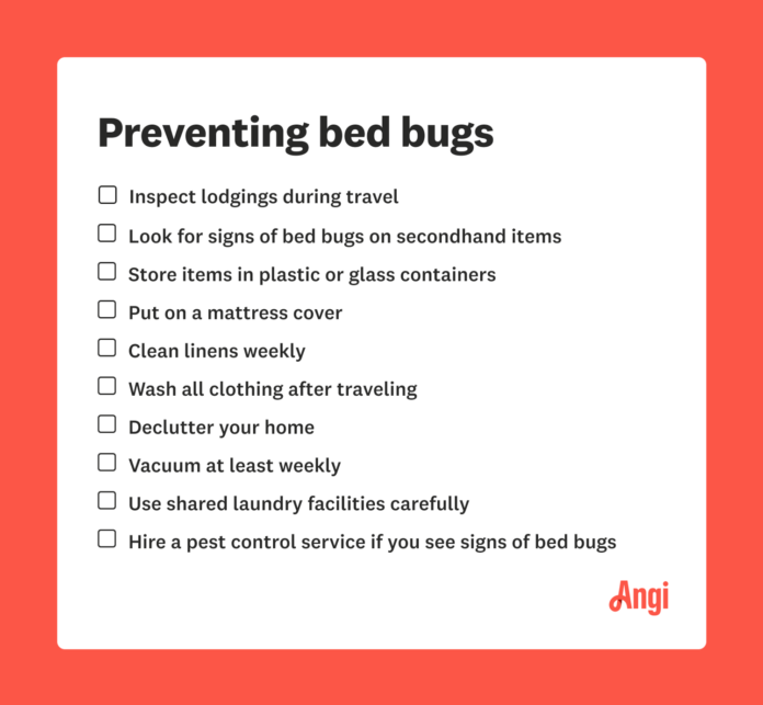 Top 10 Bed Bug Prevention Tips: How To Keep Your Home Infestation-Free ...