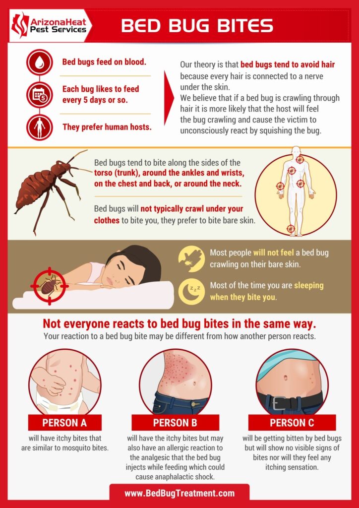 Unmasking the Mystery: Visual Guide to Identify Bed Bug Bites ...