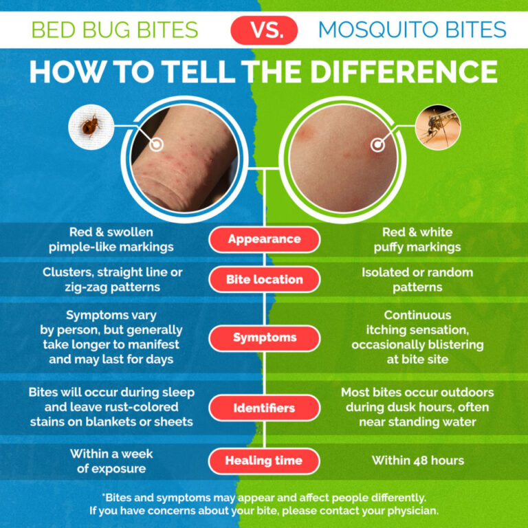 unraveling-the-mystery-how-to-tell-bed-bug-bites-apart-from-mosquito