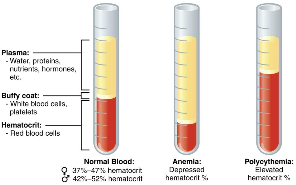 recognizing-the-signs-of-low-blood-count-symptoms-you-shouldn-t-ignore