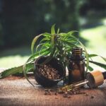 From CBD to Mindfulness: The Latest Health Trends