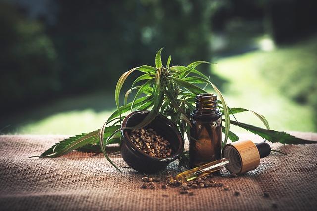 From CBD to Mindfulness: The Latest Health Trends